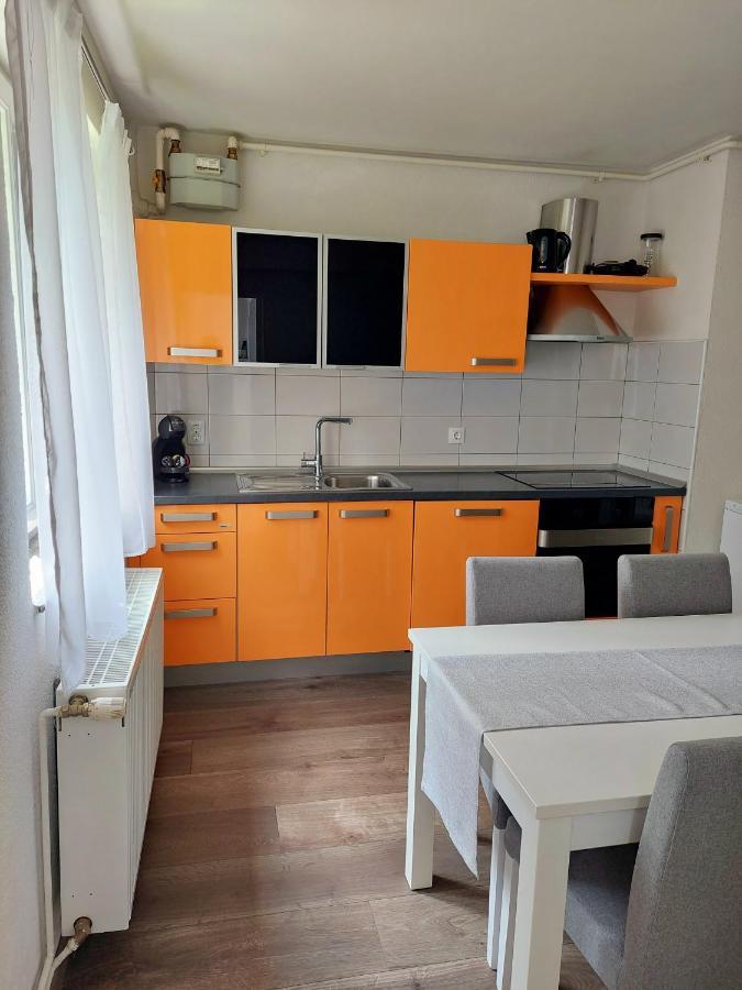 Apartman Deus Apartment Rijeka Bagian luar foto